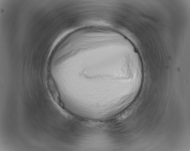 X0000081341056200702020044