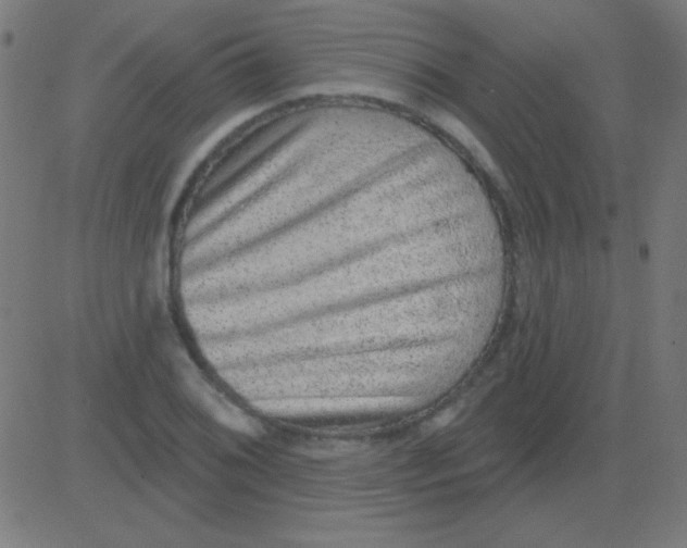 X0000081341076200702020043
