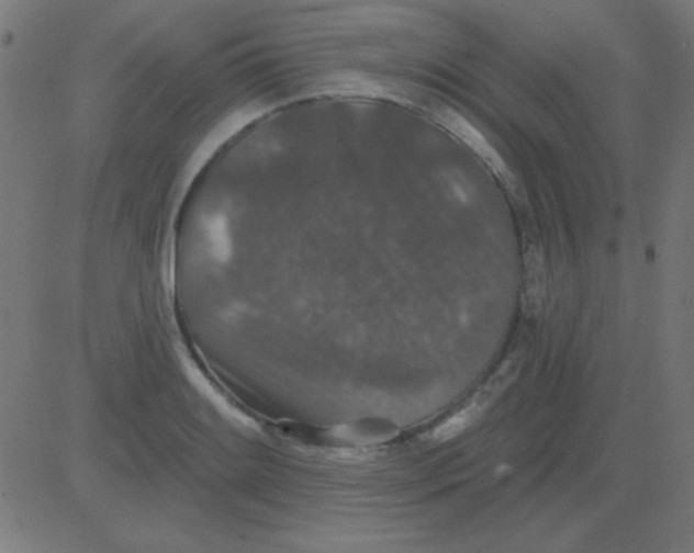 X0000081341084200702020043