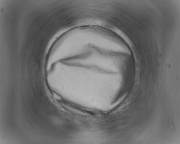X0000081341104200702020043