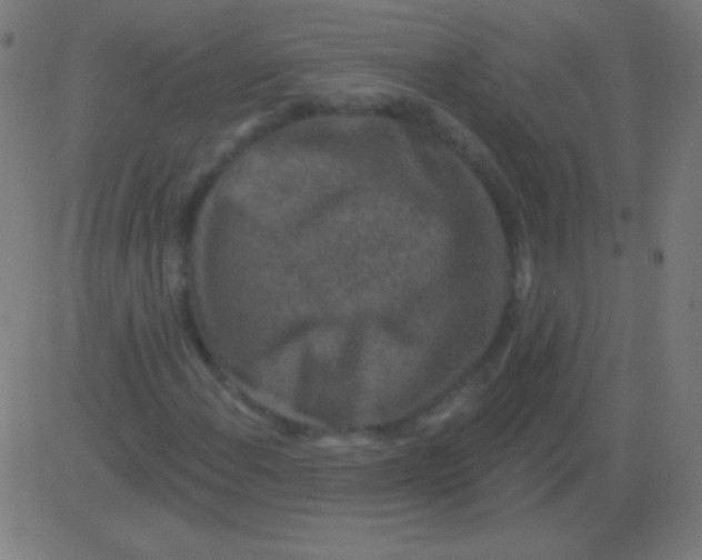 X0000081341108200702020042