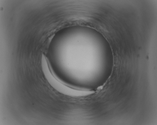 X0000081341109200702020042