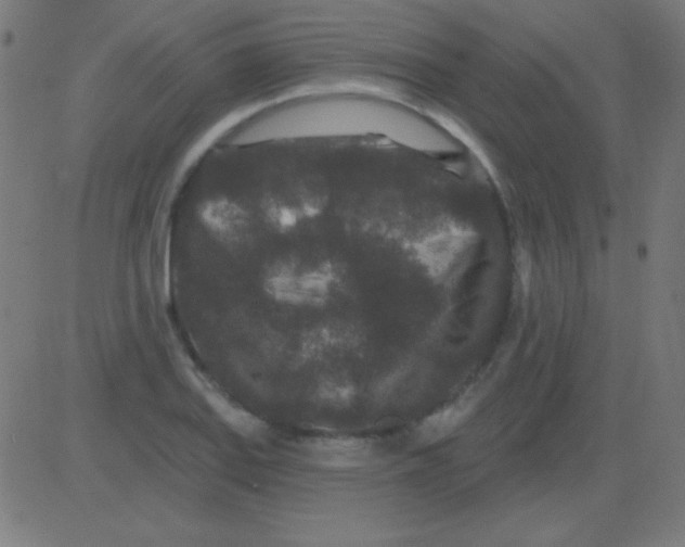 X0000081341127200702020042