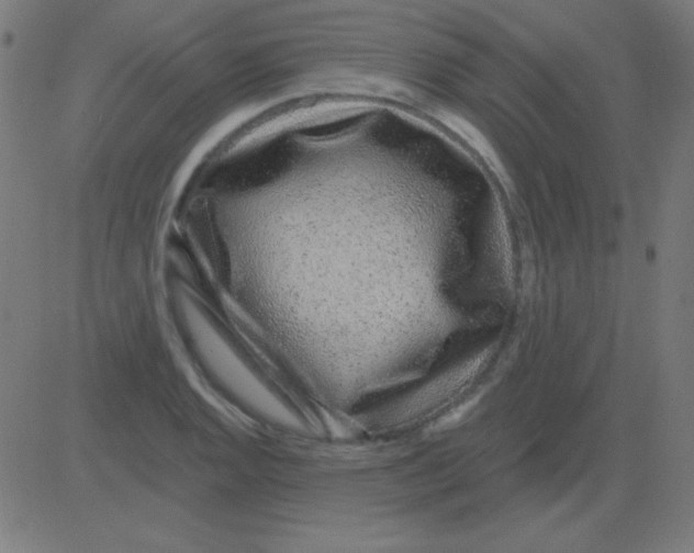 X0000081341128200702020043