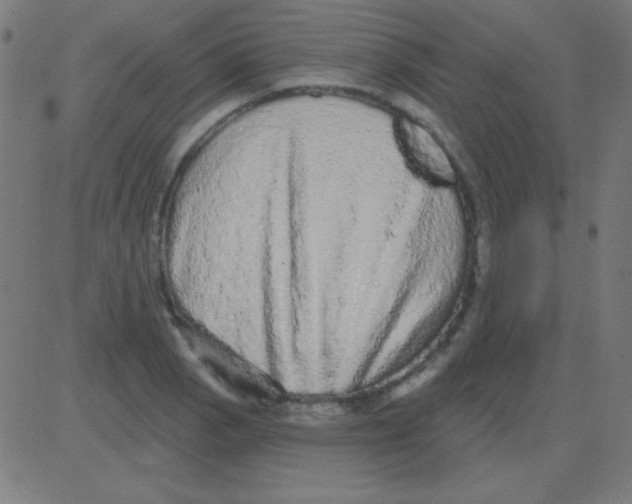X0000081341129200702020043
