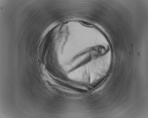 X0000081341145200702020043