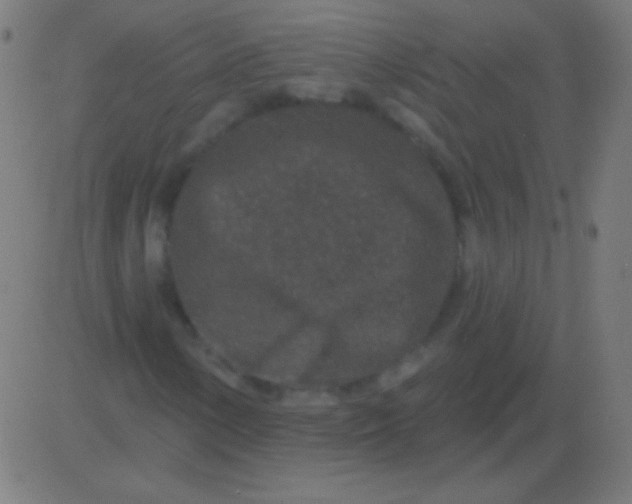 X0000081341154200702020042