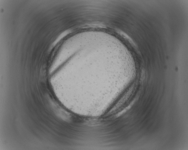 X0000081341162200702020042