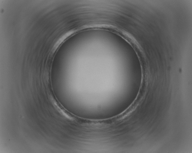 X0000081341177200702020042