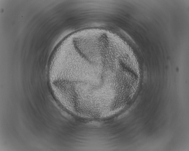 X0000081341178200702020042