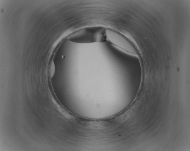 X0000081341181200702020042