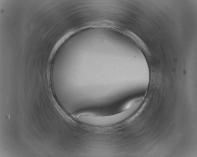 X0000081341196200702020041