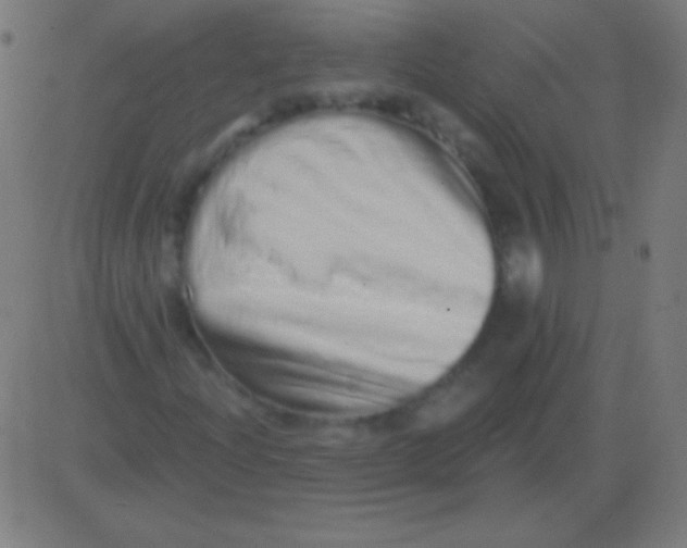X0000081341204200702020041