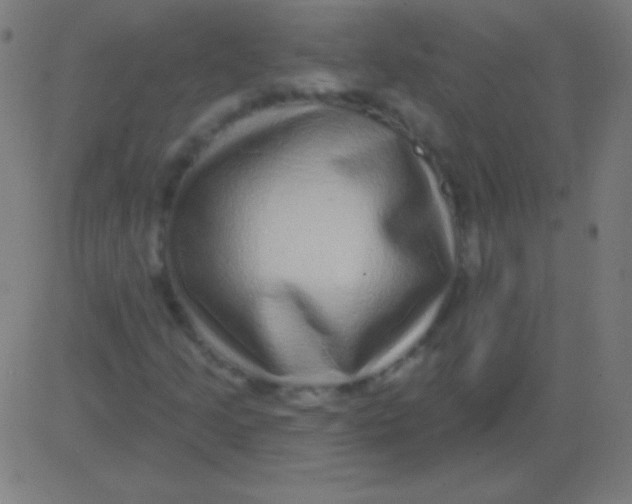 X0000081341205200702020041