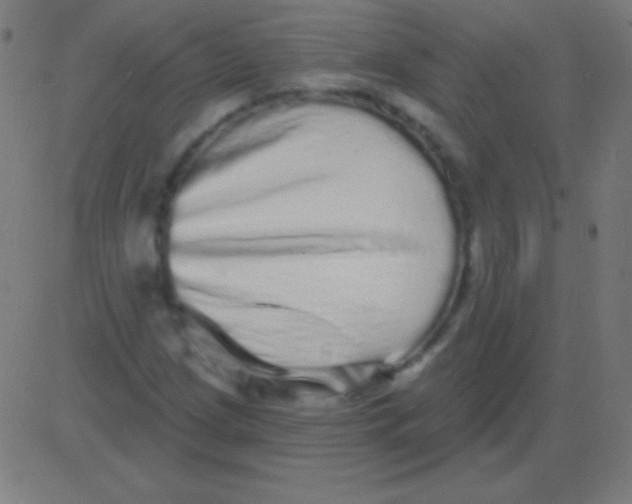 X0000081341209200702020041