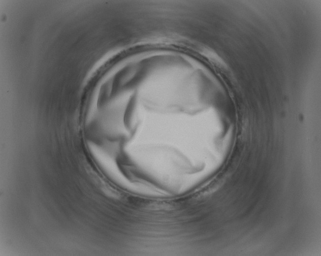 X0000081341216200702020041