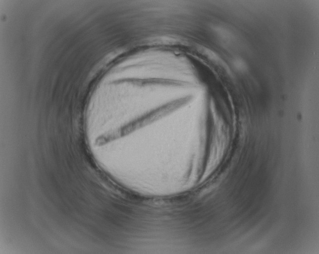 X0000081341217200702020041