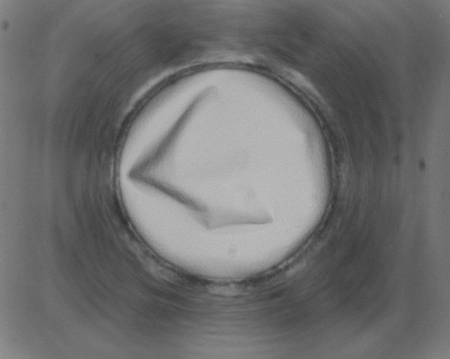 X0000081341220200702020041