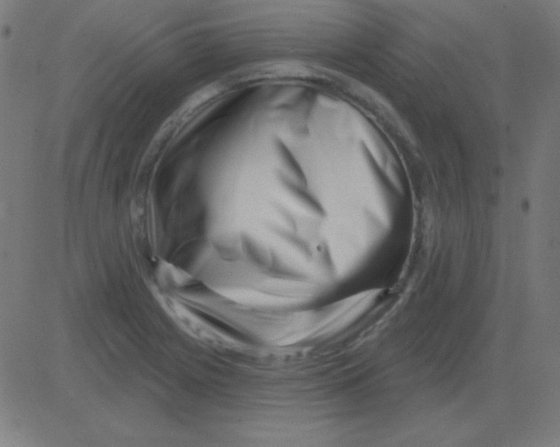 X0000081341225200702020041