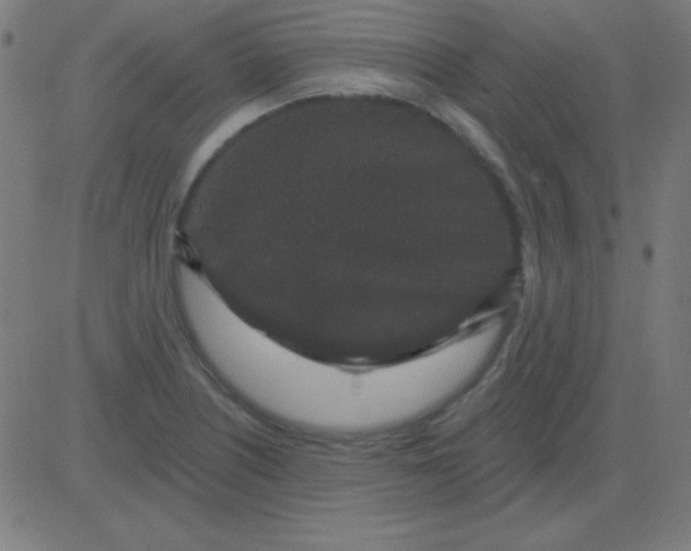 X0000081341226200702020041