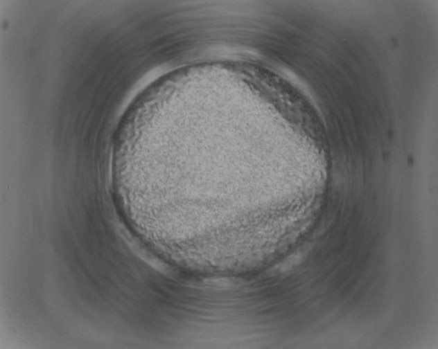 X0000081341227200702020041