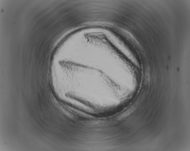 X0000081341228200702020041