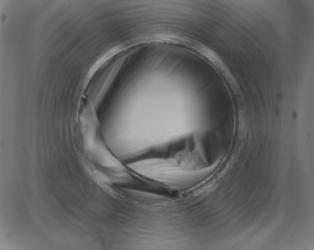 X0000081341234200702020041