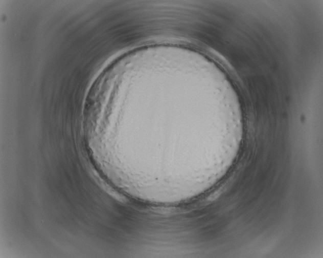 X0000081341236200702020041