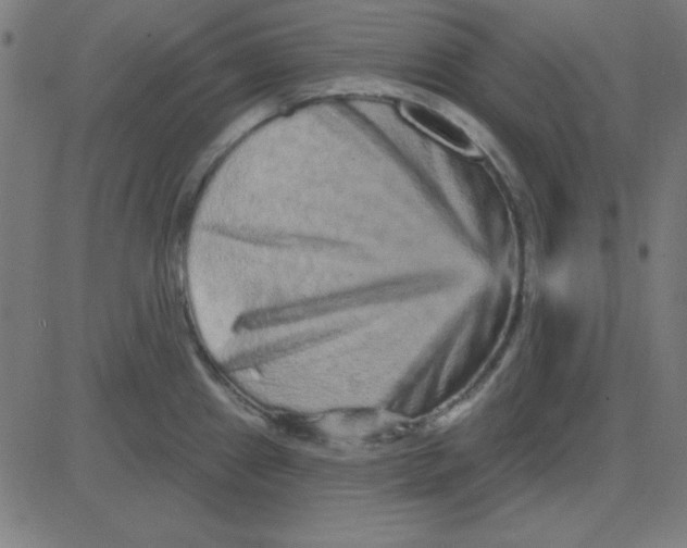 X0000081341241200702020041