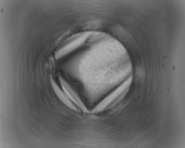 X0000081341250200702020041