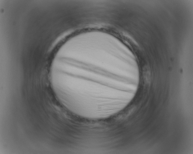 X0000081341256200702020040