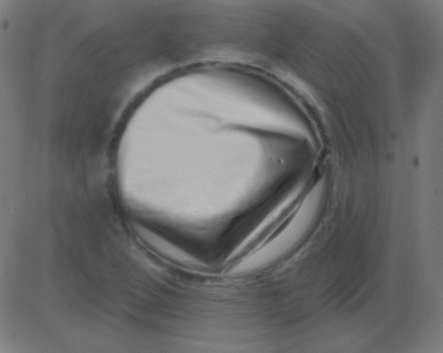 X0000081341264200702020040