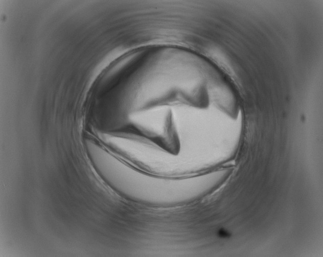 X0000081341284200702020040