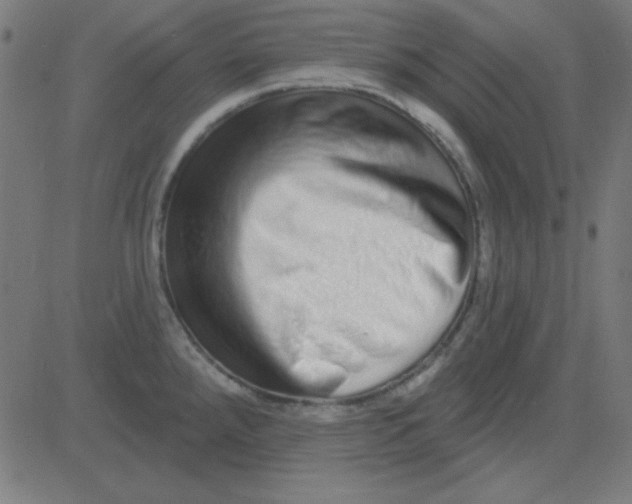 X0000081341288200702020040