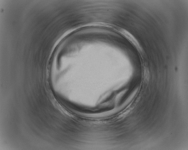 X0000081341292200702020040
