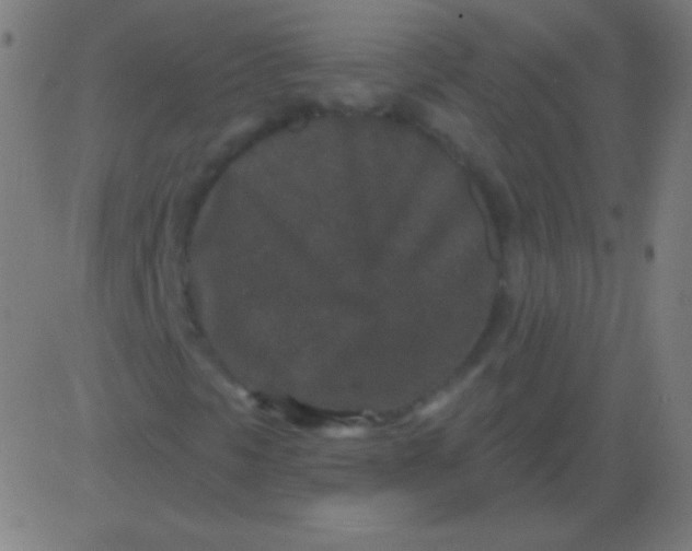 X0000081341297200702020039