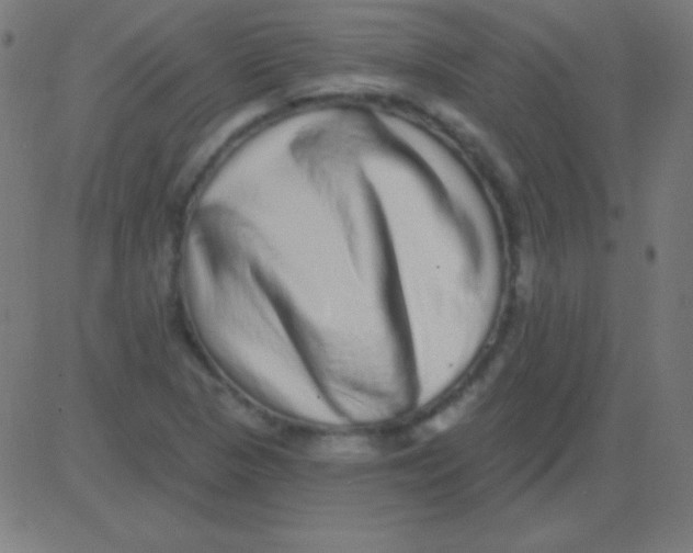 X0000081341313200702020039