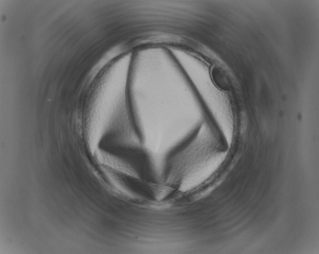 X0000081341321200702020039