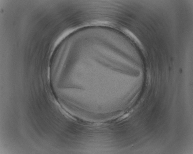 X0000081341324200702020039