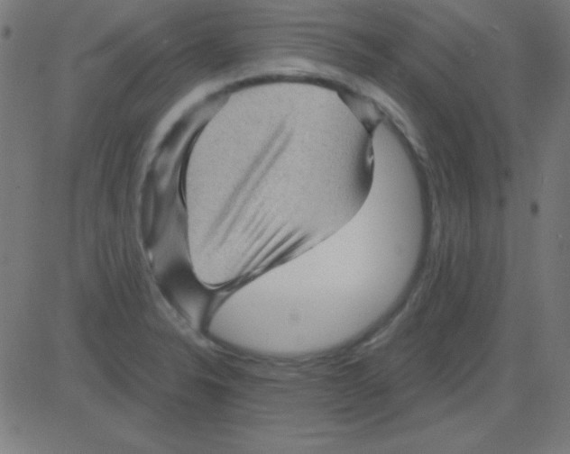 X0000081341326200702020039