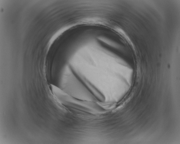X0000081341336200702020040