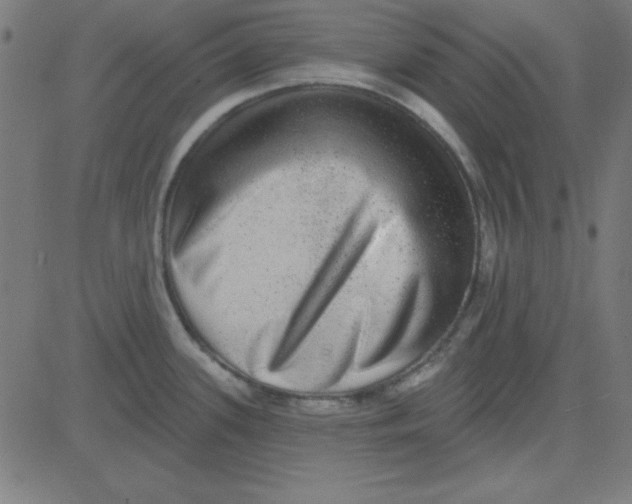 X0000081341339200702020040