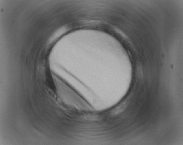 X0000081341354200702020039