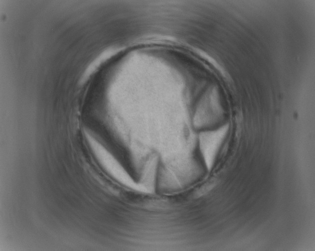 X0000081341363200702020039