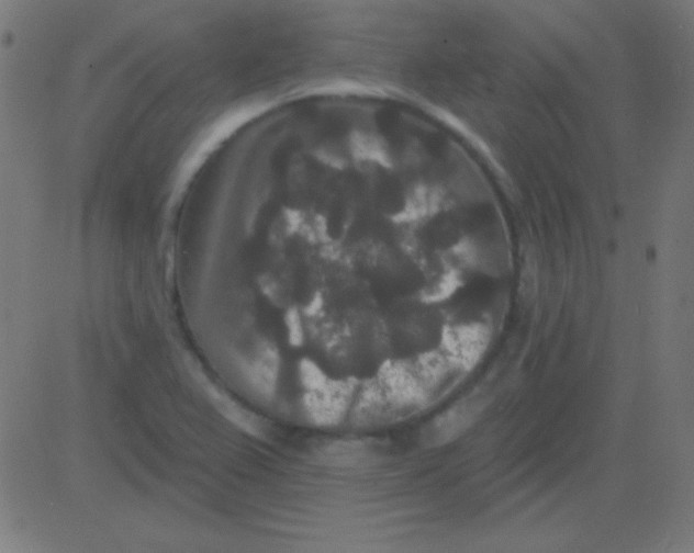 X0000081341367200702020039