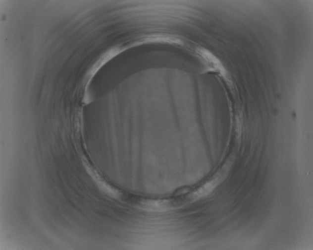 X0000081341369200702020039