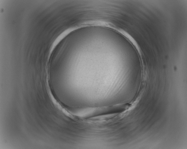X0000081341389200702020038
