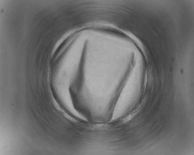 X0000081341390200702020038