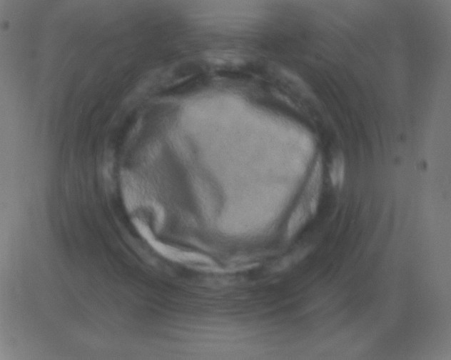 X0000081341396200702020038