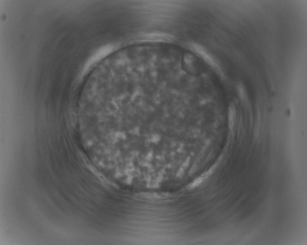 X0000081341405200702020038
